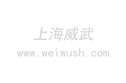 紐約自由人vs印第安納狂熱